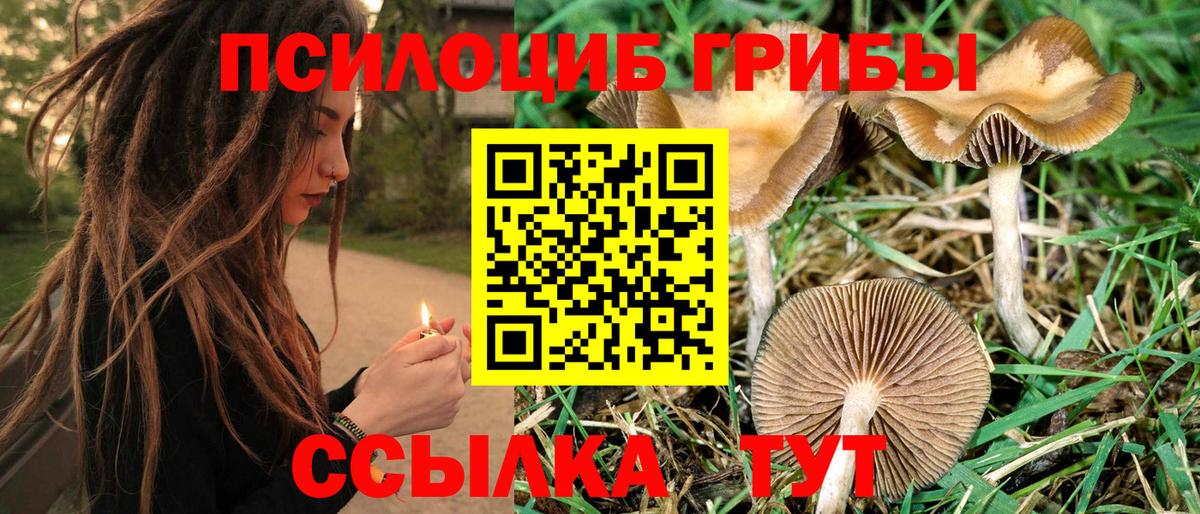 Галлюциногенные грибы мухоморы Малгобек