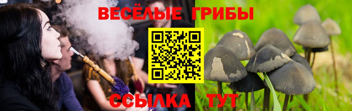 Малгобек  Галлюциногенные грибы Cubensis  Псилоцибиновые грибы ЛСД  Вход с VPN 